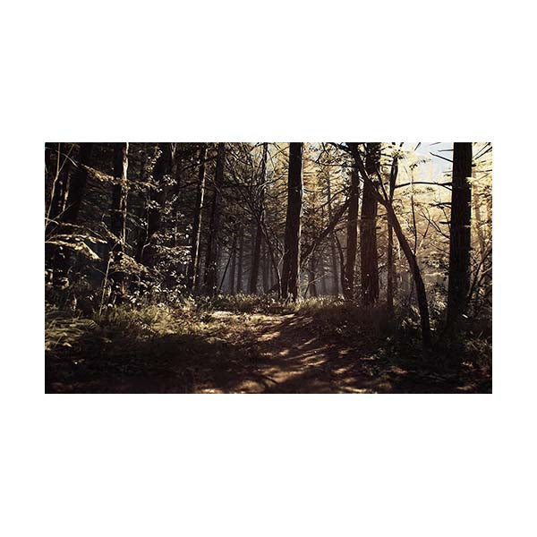 Blair Witch - PS4