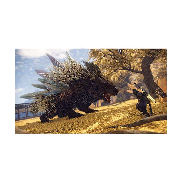 Wild Hearts - PS5